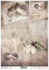 postcards, letters, old papers, old, magnolia, flowers, portrait, woman, women, photography, photos, Postkarten, Briefe, alte Papiere, alt, Magnolie, Blumen, Porträt, Frauen, Fotografie, Fotos, postal, postales, carta, papeles viejos